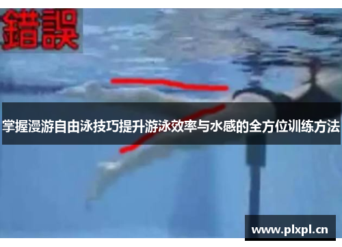 掌握漫游自由泳技巧提升游泳效率与水感的全方位训练方法