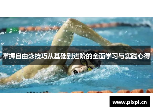 掌握自由泳技巧从基础到进阶的全面学习与实践心得