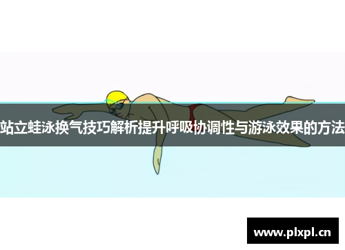 站立蛙泳换气技巧解析提升呼吸协调性与游泳效果的方法