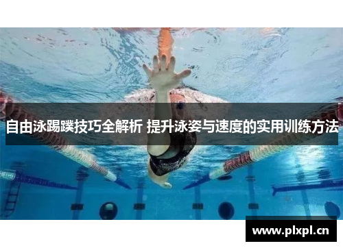 自由泳踢蹼技巧全解析 提升泳姿与速度的实用训练方法