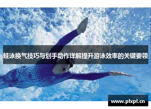 蛙泳换气技巧与划手动作详解提升游泳效率的关键要领