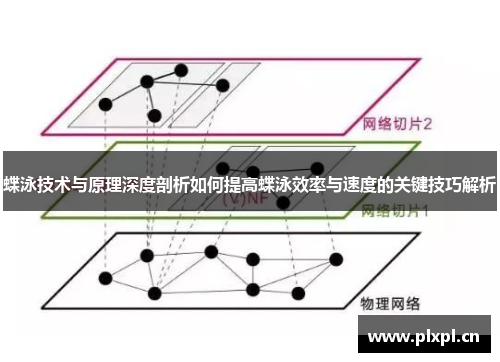 蝶泳技术与原理深度剖析如何提高蝶泳效率与速度的关键技巧解析